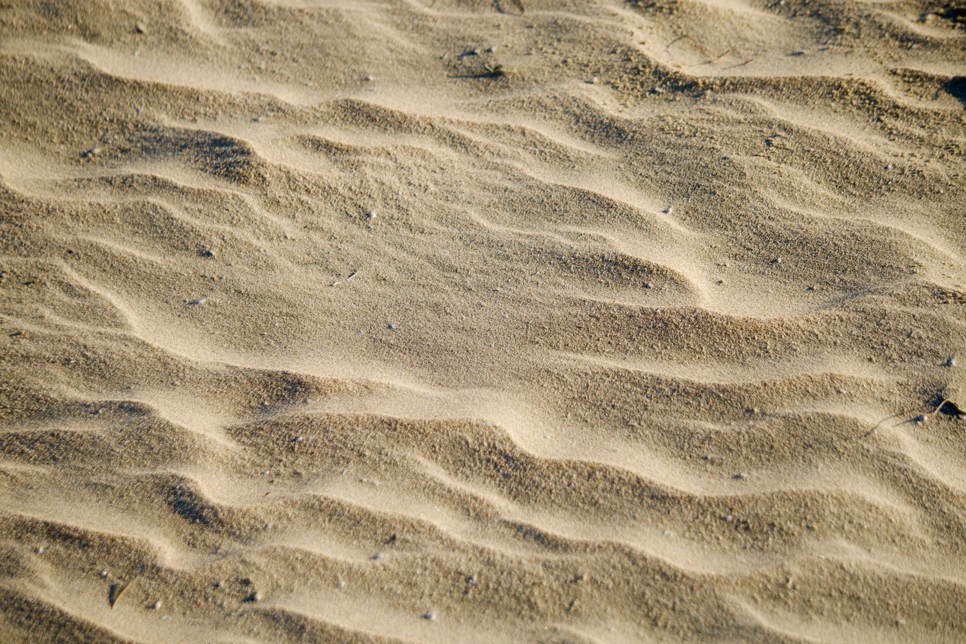 Praia de Santa Mónica: guia à praia mais selvagem da Boa Vista
